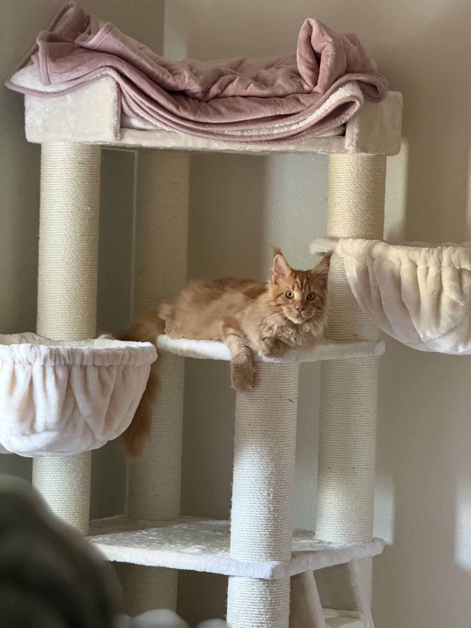 Diego, a quieter moment