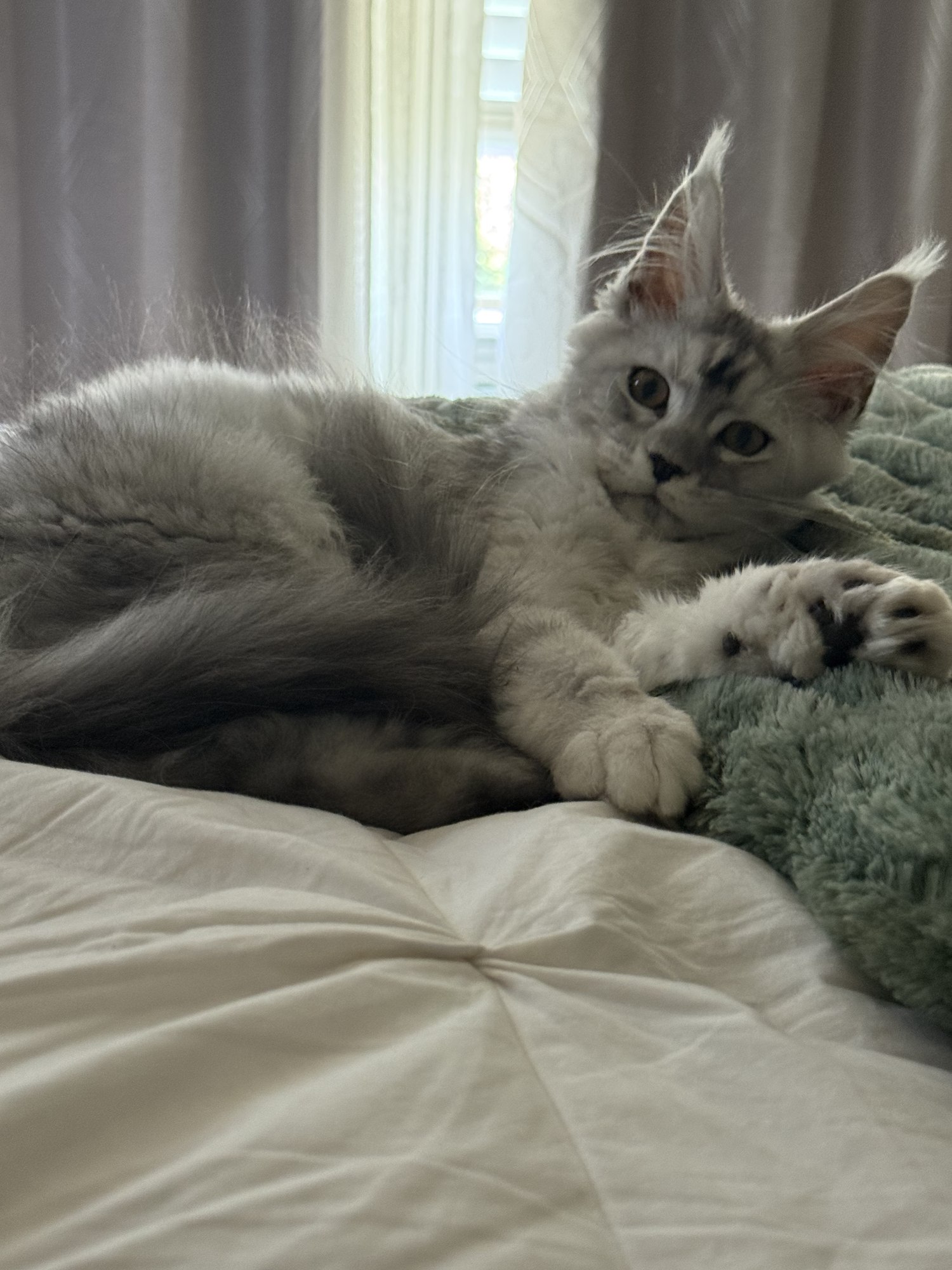 Monroe, our youngest queen